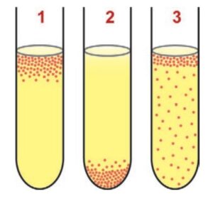 Metabolismo energético bacteriano ENEM 2024